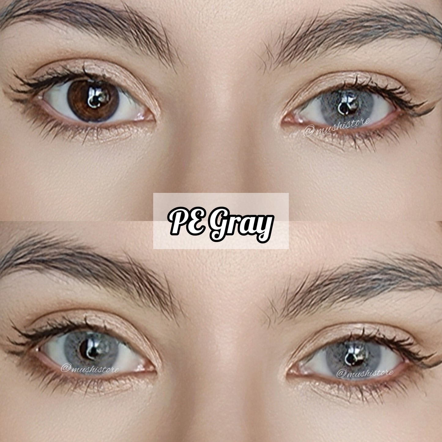 Premium Economy Gray