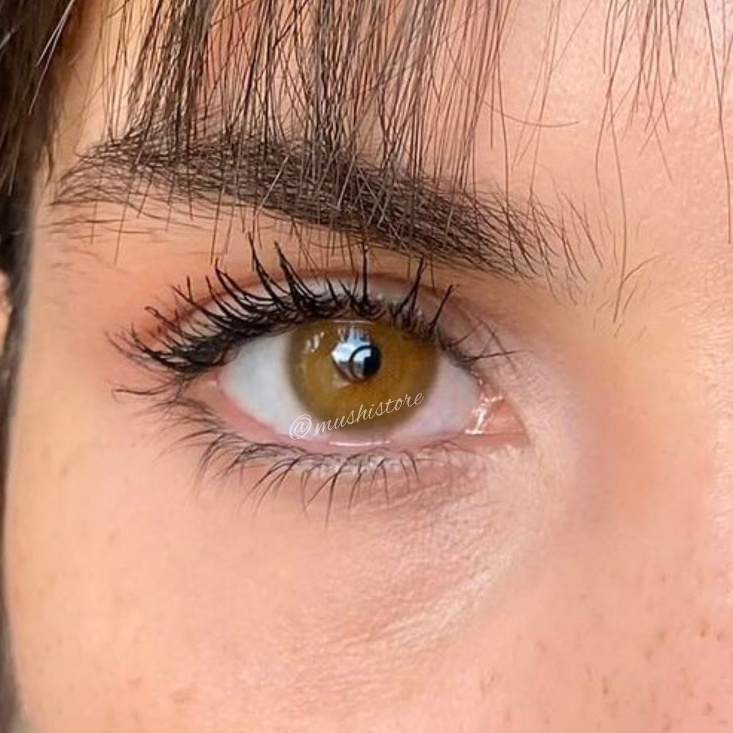 Cream Brown