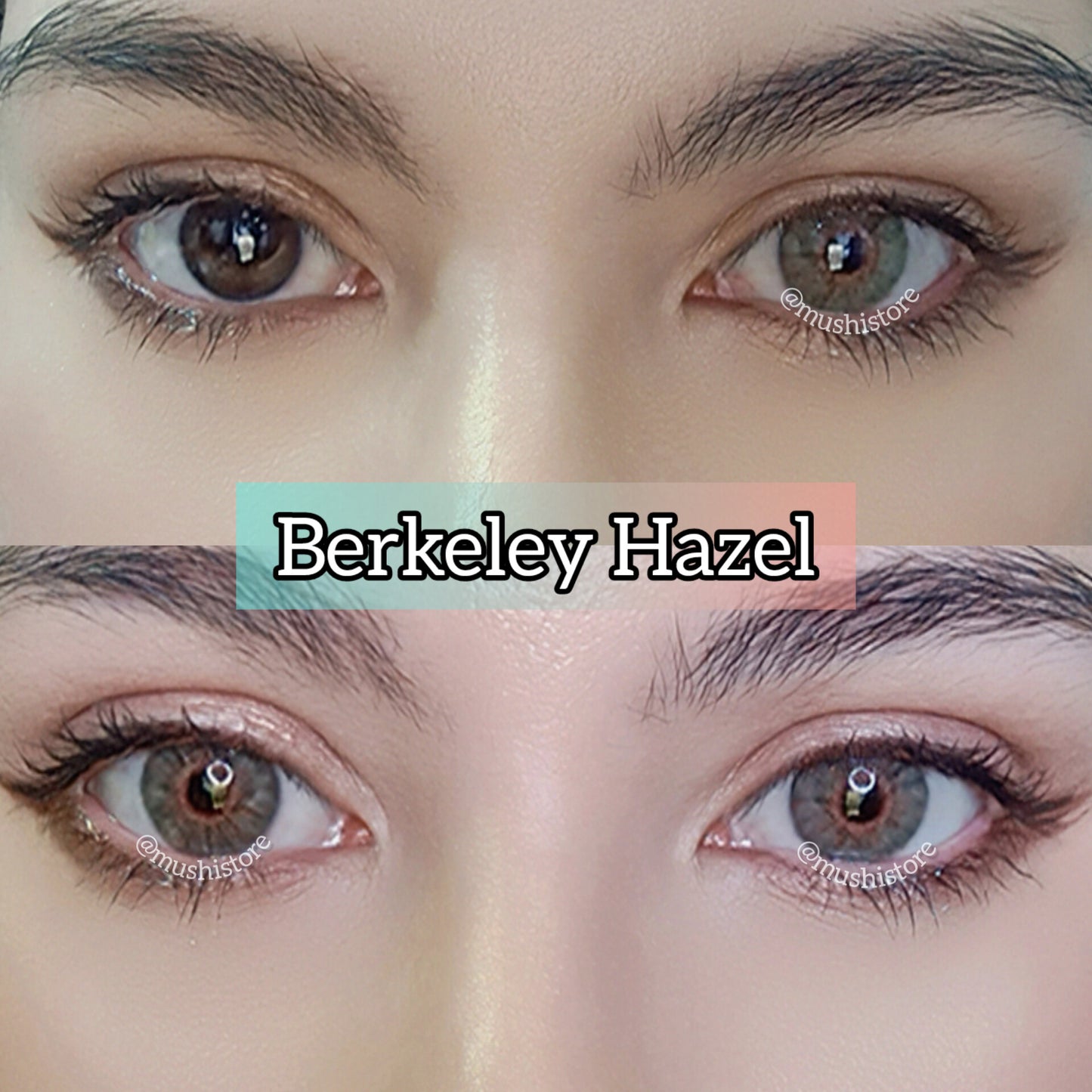 Berkeley Hazel