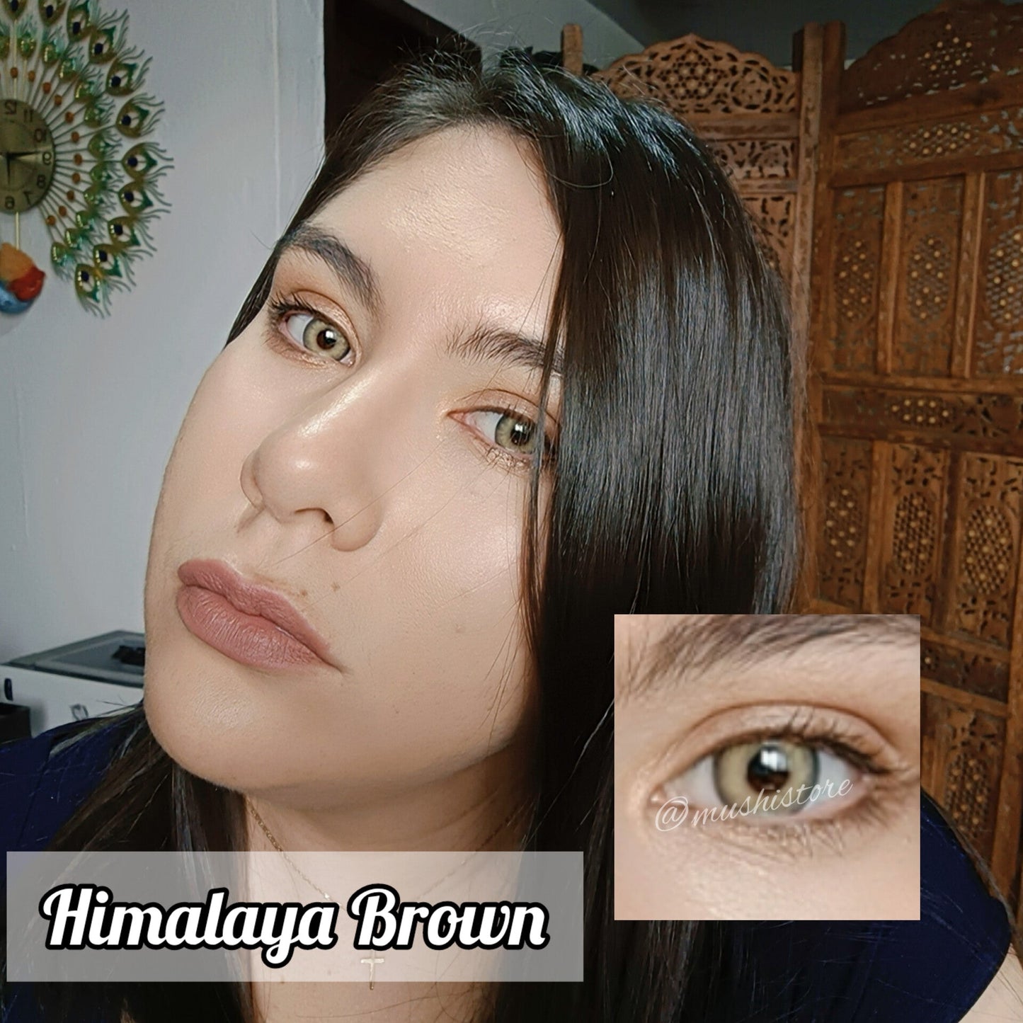 Himalaya Brown