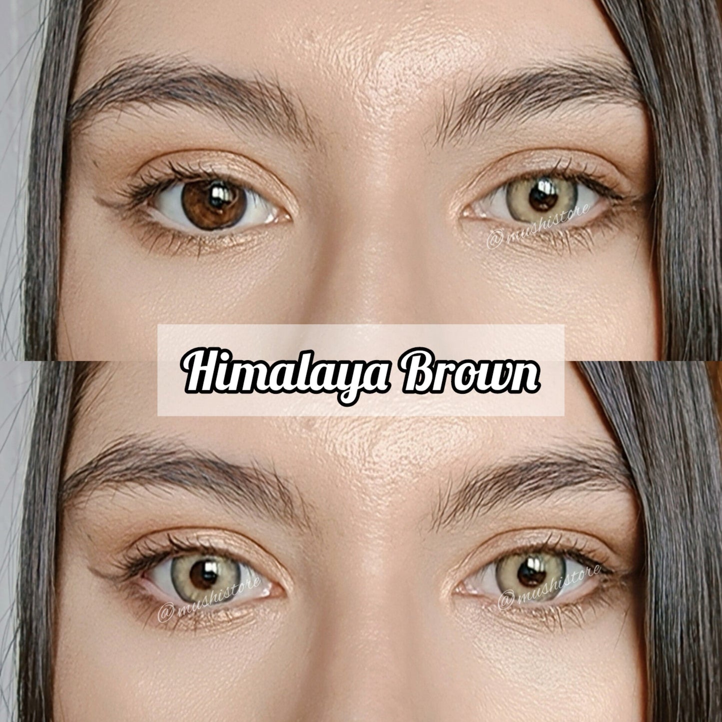 Himalaya Brown