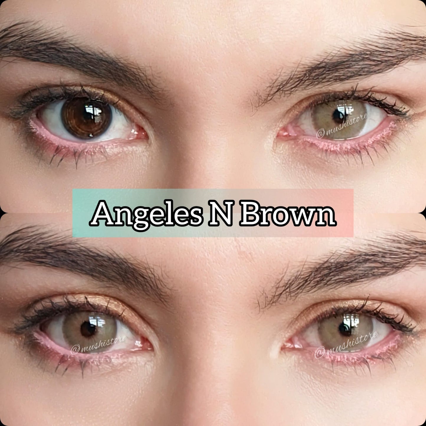 Angeles N Brown