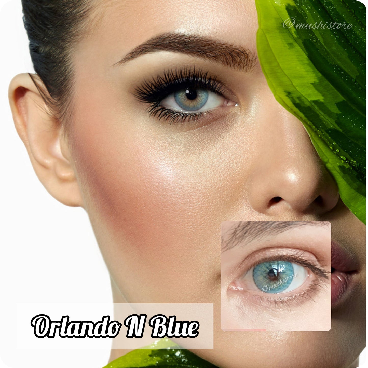 Orlando N Blue