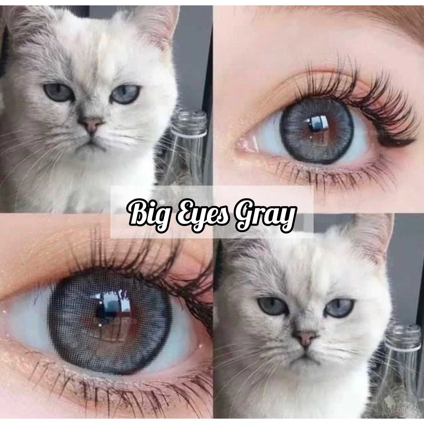 Big Eyes Gray