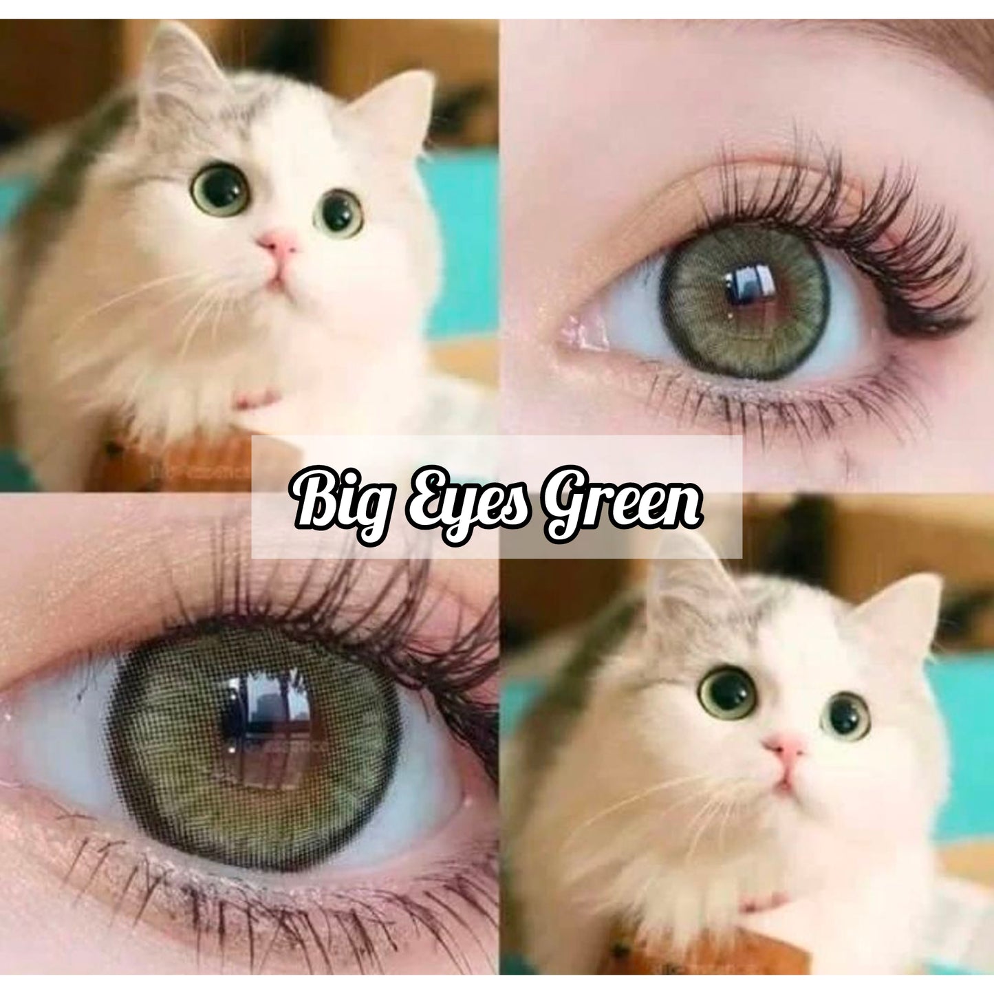 Big Eyes Green