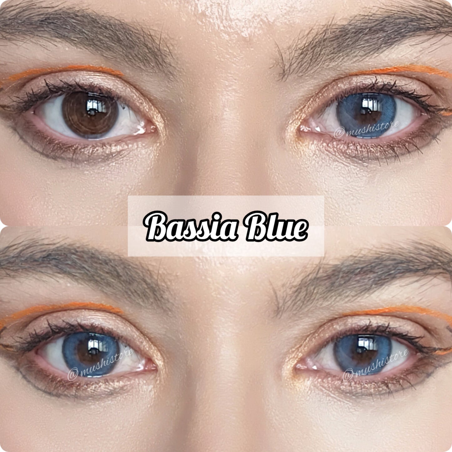 Bassia Blue