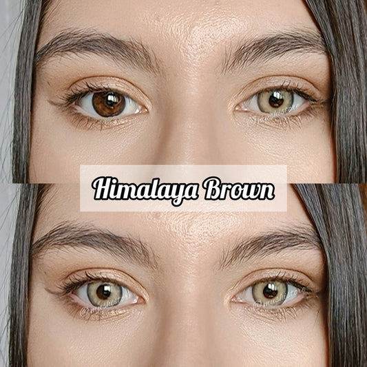 Himalaya Brown