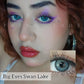 Big Eyes Swan Lake