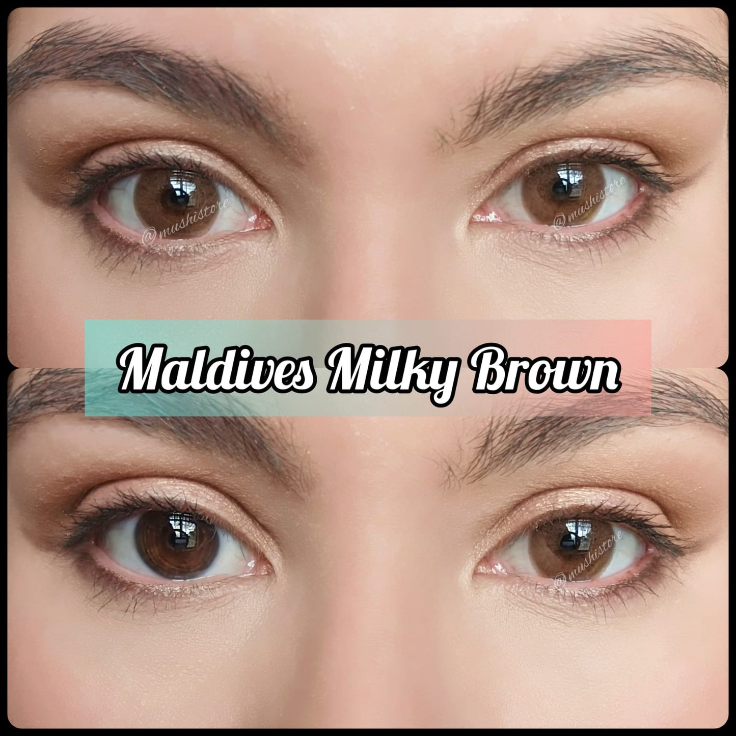 Maldives Milky Brown